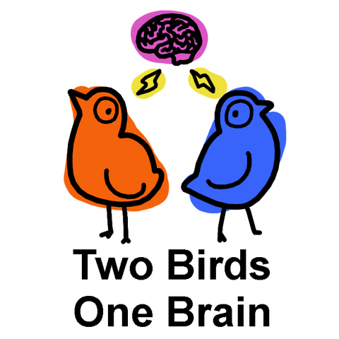 two birds one brain logo with orange cartoon bird and blue cartoon bird