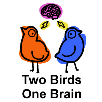 Two Birds One Brain Logo two birds one brain logo with orange cartoon bird and blue cartoon bird